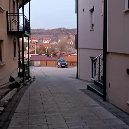 Dimitrije 15